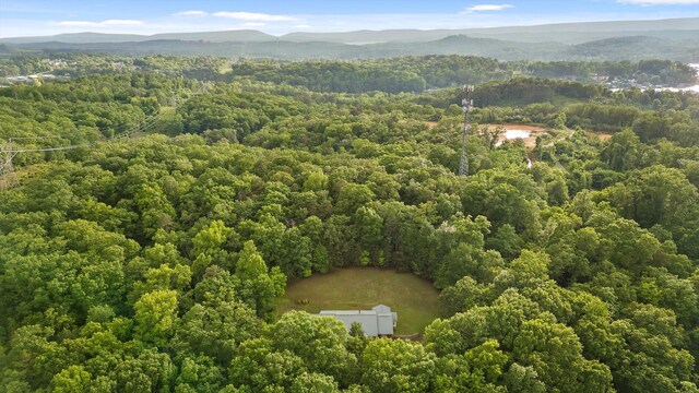 6601 Hunter Rd, Harrison, TN 37341 - aerial view of a heavily wooded area and a mountain backdrop