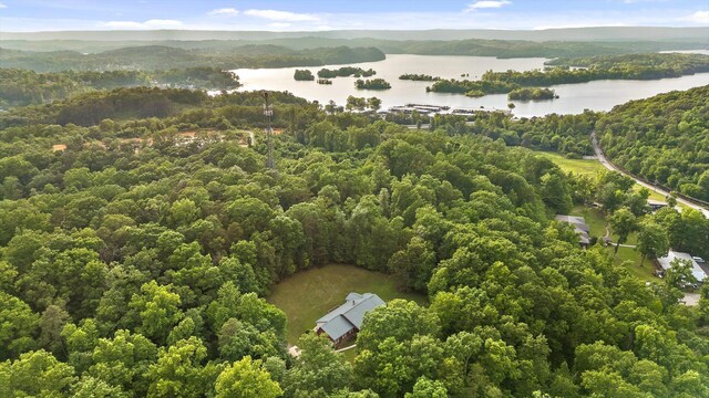 6601 Hunter Rd, Harrison, TN 37341 - drone / aerial view of a nearby body of water and a heavily wooded area