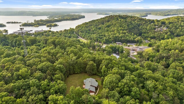 6601 Hunter Rd, Harrison, TN 37341 - drone / aerial view of a forest and a large body of water