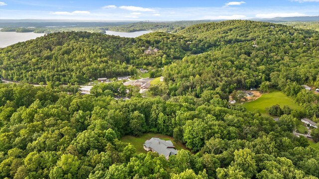 6601 Hunter Rd, Harrison, TN 37341 - drone / aerial view of a forest and a large body of water