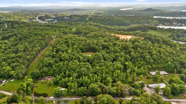 6601 Hunter Rd, Harrison, TN 37341 - aerial view of property and surrounding area featuring a forest and a mountain backdrop