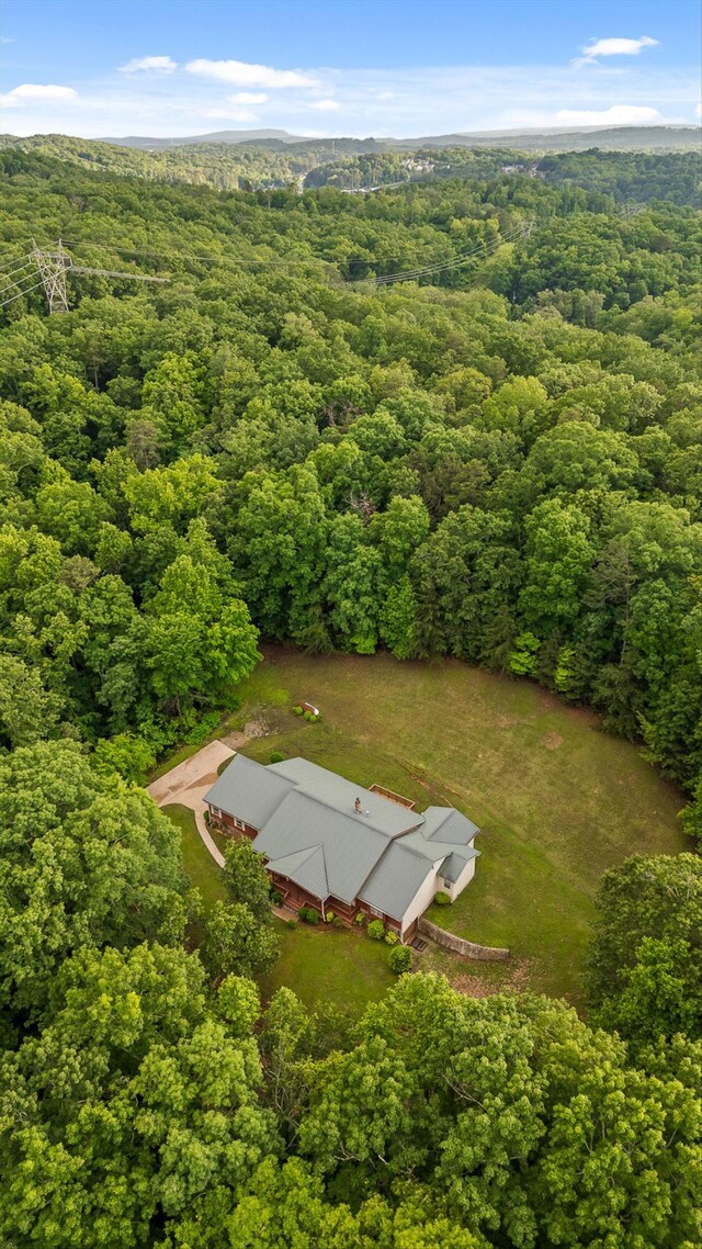 6601 Hunter Rd, Harrison, TN 37341 - aerial view of a forest