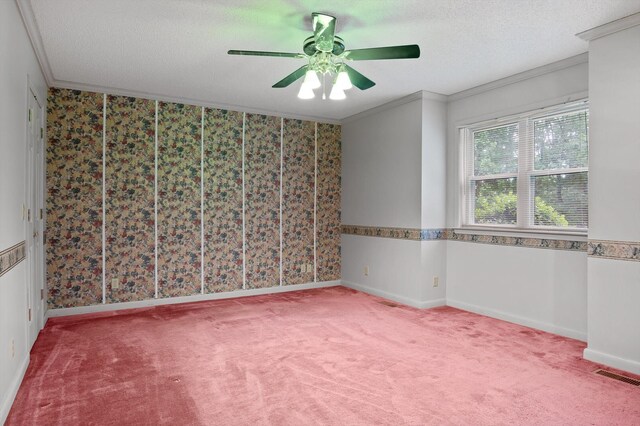 6601 Hunter Rd, Harrison, TN 37341 - spare room featuring ornamental molding, a ceiling fan, carpet floors, a textured ceiling, and baseboards