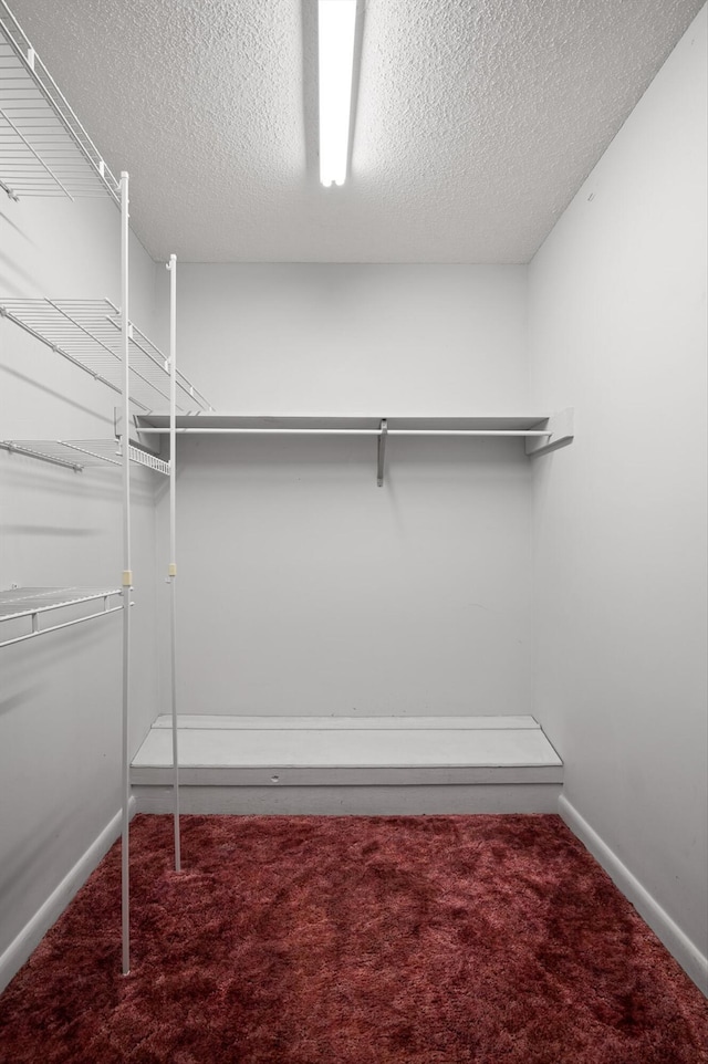 6601 Hunter Rd, Harrison, TN 37341 - spacious closet with carpet