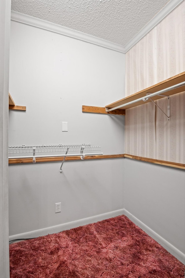 6601 Hunter Rd, Harrison, TN 37341 - walk in closet with carpet