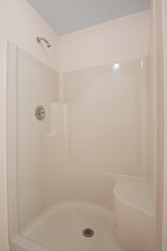 6601 Hunter Rd, Harrison, TN 37341 - full bath with a shower stall and a textured ceiling