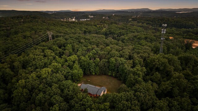 6601 Hunter Rd, Harrison, TN 37341 - drone / aerial view of a heavily wooded area and mountains