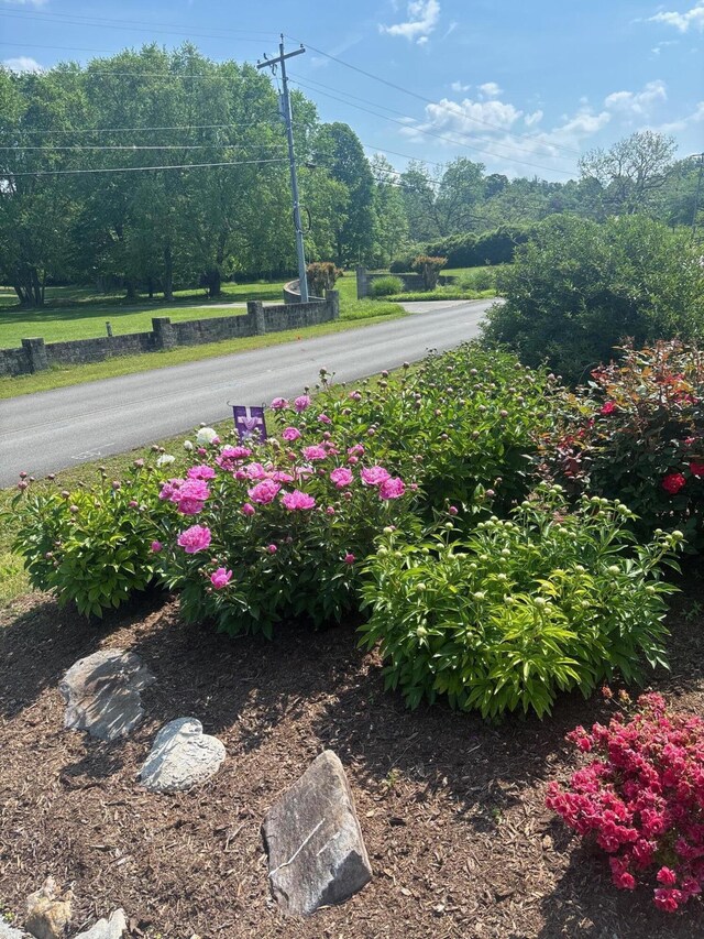 1798 31st St NE, Cleveland, TN 37323 - photo 23