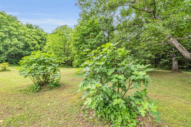 694 Meadow Dr, Chickamauga, GA 30707 - photo 70