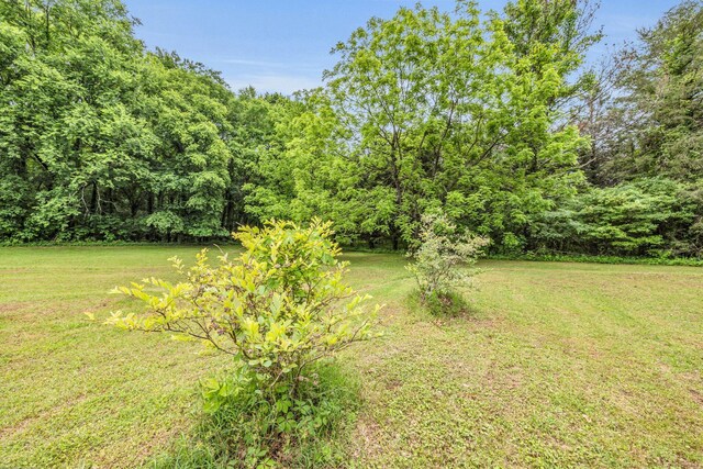694 Meadow Dr, Chickamauga, GA 30707 - photo 71