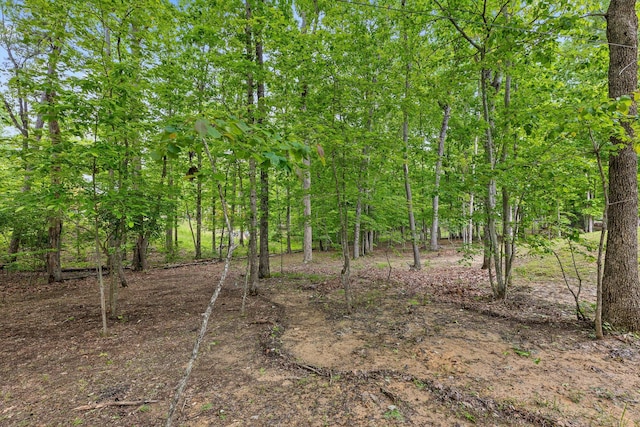 view of local wilderness