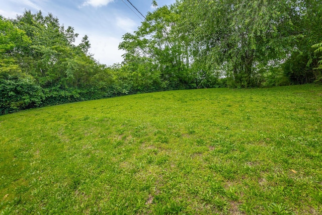 1641 John Ross Rd, Chattanooga, TN 37412 - view of grassy yard