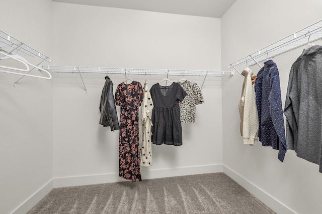 walk in closet with carpet flooring