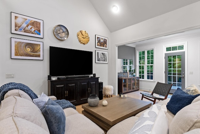 living area featuring wood finished floors and high vaulted ceiling