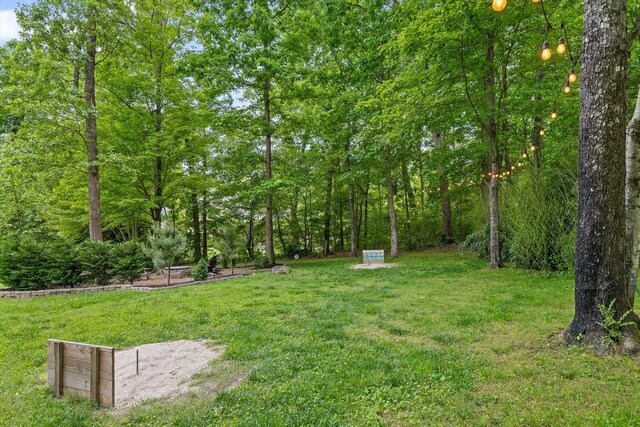 view of grassy yard