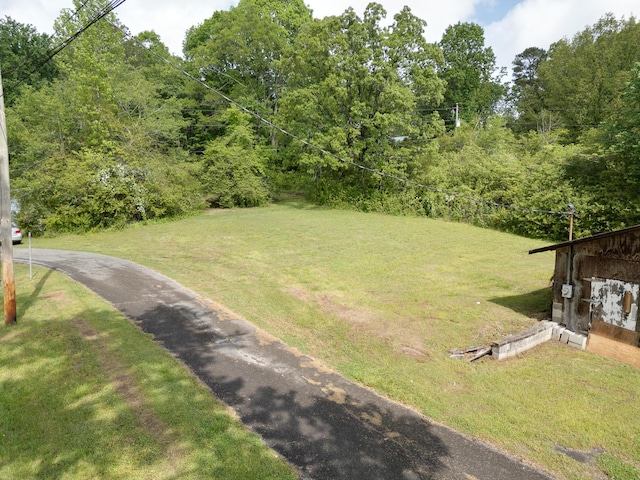view of green lawn