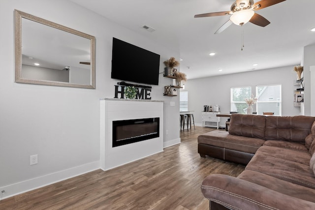 116 Paxtons Way, Ringgold, GA 30736 - living room with wood finished floors, a glass covered fireplace, a ceiling fan, recessed lighting, and an office area