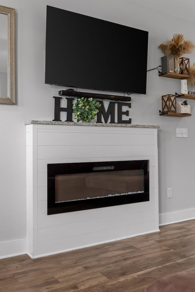 116 Paxtons Way, Ringgold, GA 30736 - detailed view of a glass covered fireplace and wood finished floors