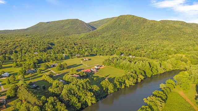 310 Savannah Shores Dr, Delano, TN 37325 - photo 60