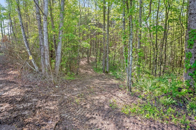 0 Daus Mountain Rd, Palmer, TN 37365