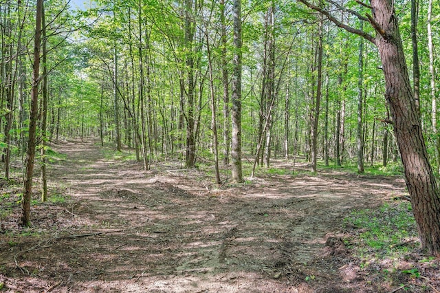 0 Daus Mountain Rd, Palmer, TN 37365