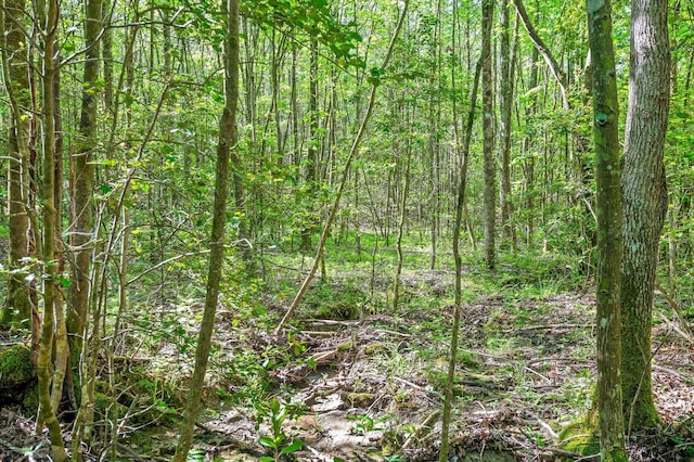 0 Daus Mountain Rd, Palmer, TN 37365