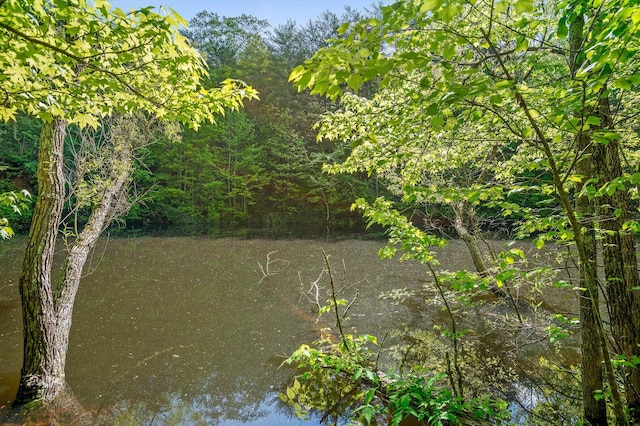 0 Daus Mountain Rd, Palmer, TN 37365