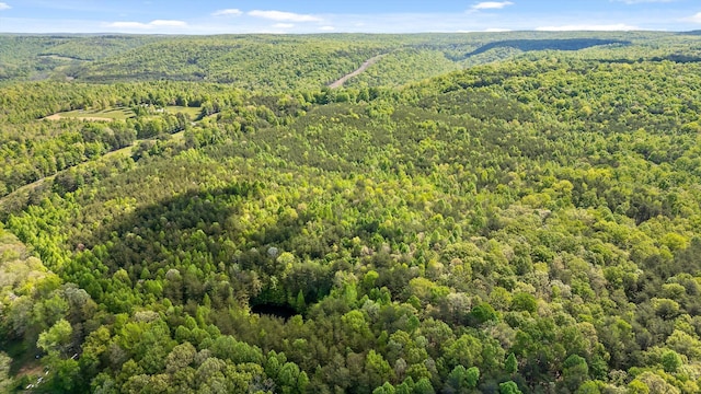0 Daus Mountain Rd, Palmer, TN 37365