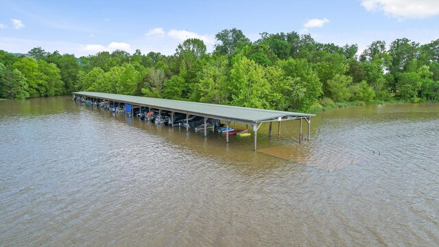8109 Propeller Dr, Ooltewah, TN 37363 - dock area with a view of trees and a water view