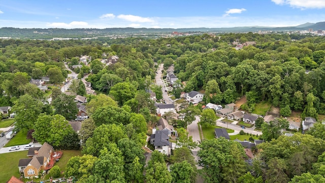 1608 Knickerbocker Ave, Chattanooga, TN 37405 - aerial view of residential area with a forest