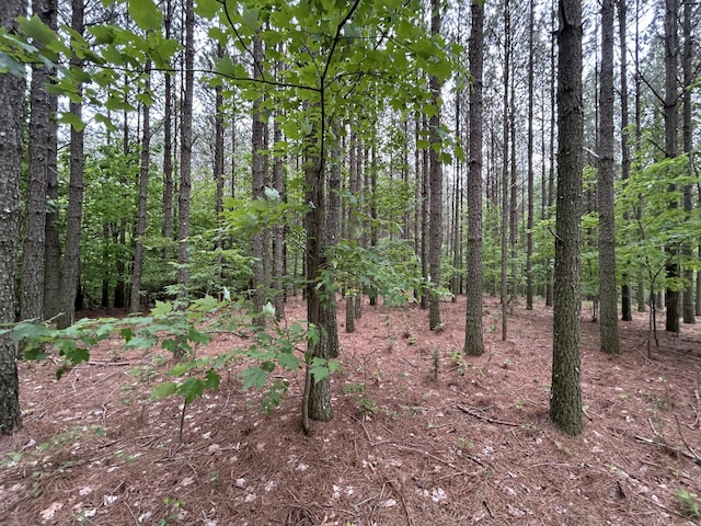 1771 Crockett Pt Unit Jf-604, Jasper, TN 37347