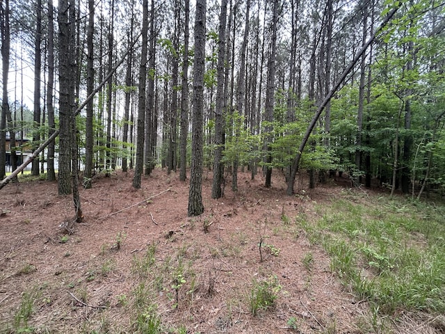 1771 Crockett Pt Unit Jf-604, Jasper, TN 37347