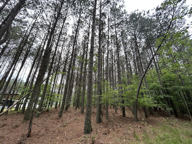 1771 Crockett Pt Unit Jf-604, Jasper, TN 37347