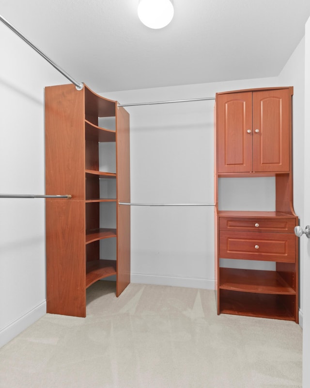 spacious closet featuring carpet