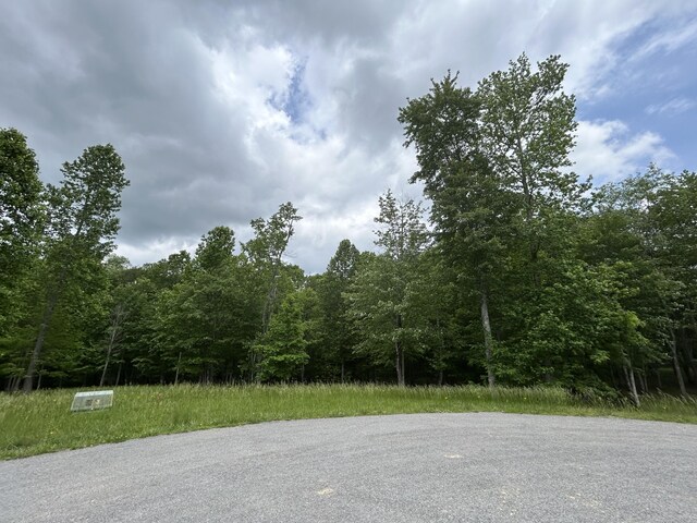 284 Jasper Creek Ct Unit 239, Jasper, TN 37347 - photo 3