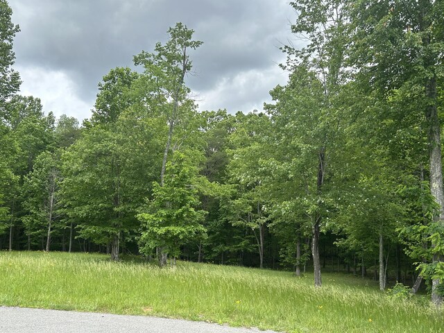 284 Jasper Creek Ct Unit 239, Jasper, TN 37347 - photo 5
