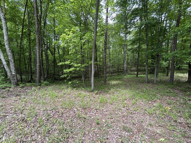 284 Jasper Creek Ct Unit 239, Jasper, TN 37347 - photo 6