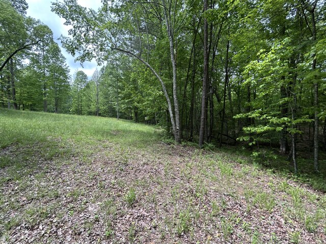 284 Jasper Creek Ct Unit 239, Jasper, TN 37347 - photo 7