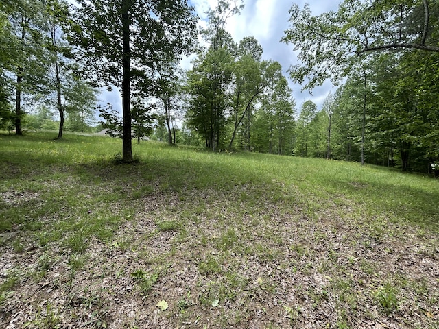 284 Jasper Creek Ct Unit 239, Jasper, TN 37347 - photo 8