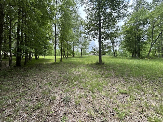 284 Jasper Creek Ct Unit 239, Jasper, TN 37347 - photo 9