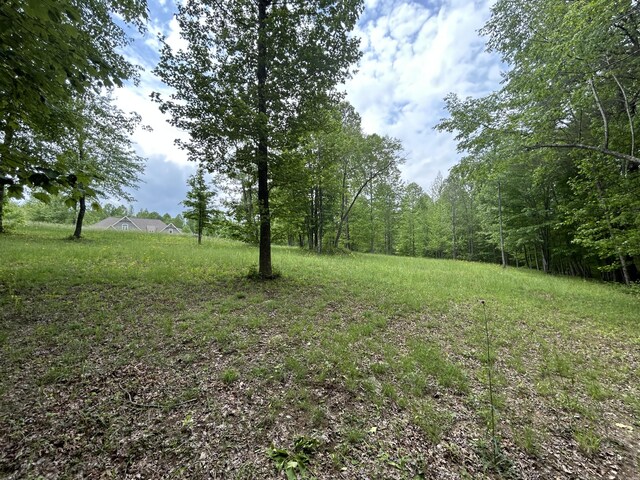 284 Jasper Creek Ct Unit 239, Jasper, TN 37347 - photo 12