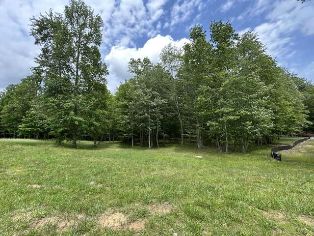 284 Jasper Creek Ct Unit 239, Jasper, TN 37347 - photo 15