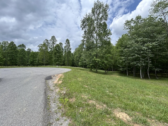 284 Jasper Creek Ct Unit 239, Jasper, TN 37347 - photo 17
