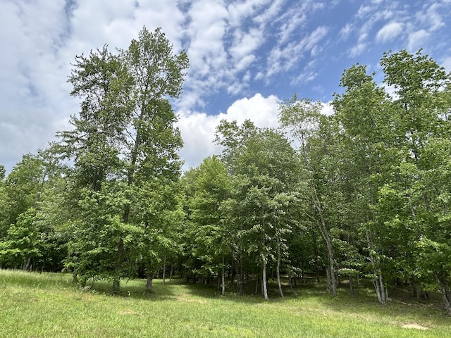 284 Jasper Creek Ct Unit 239, Jasper, TN 37347 - photo 16