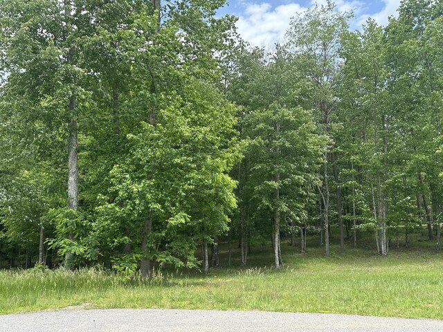 284 Jasper Creek Ct Unit 239, Jasper, TN 37347 - photo 22