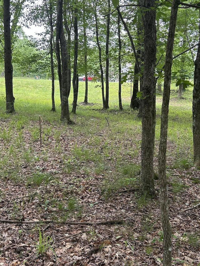 284 Jasper Creek Ct Unit 239, Jasper, TN 37347 - photo 10