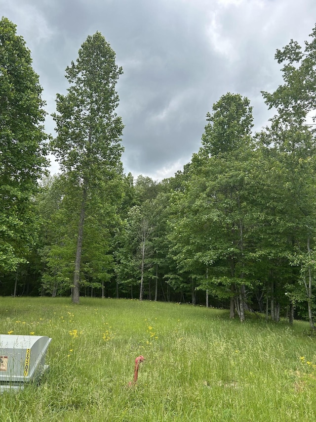 284 Jasper Creek Ct Unit 239, Jasper, TN 37347 - photo 2