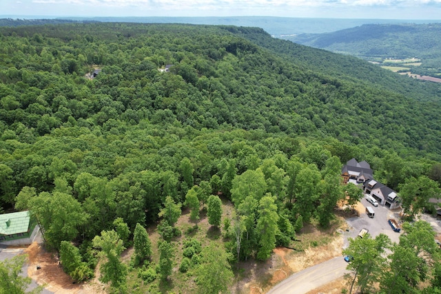 525 Moonlight Ln Unit Jf-434, Jasper, TN 37347 - photo 3