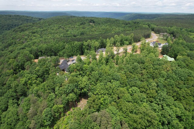 525 Moonlight Ln Unit Jf-434, Jasper, TN 37347 - photo 20