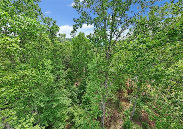 525 Moonlight Ln Unit Jf-434, Jasper, TN 37347 - photo 12